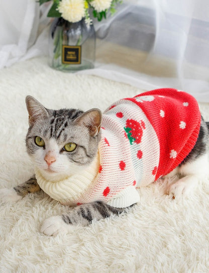 Puppy & Cat Clothes: Anti-hair fall and winter clothes to keep warm