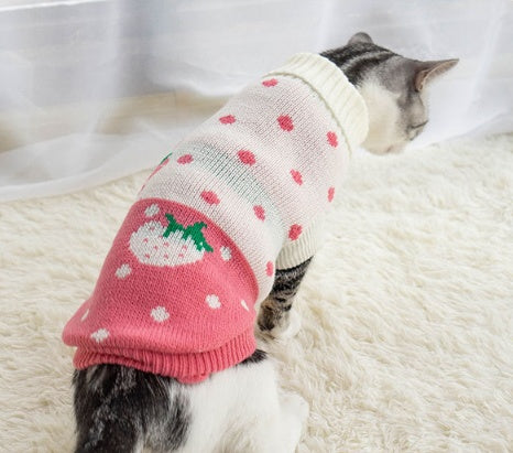 Puppy & Cat Clothes: Anti-hair fall and winter clothes to keep warm