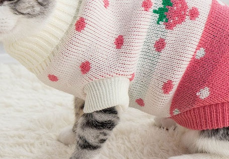 Puppy & Cat Clothes: Anti-hair fall and winter clothes to keep warm