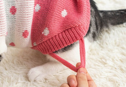 Puppy & Cat Clothes: Anti-hair fall and winter clothes to keep warm