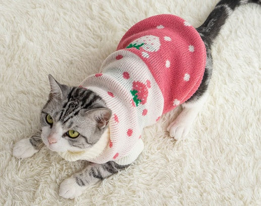 Puppy & Cat Clothes: Anti-hair fall and winter clothes to keep warm