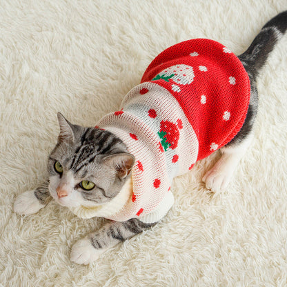 Puppy & Cat Clothes: Anti-hair fall and winter clothes to keep warm